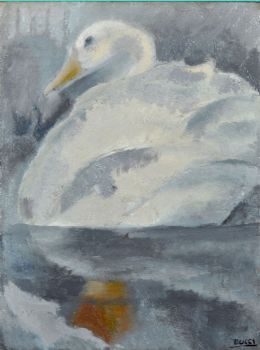 Cigno, verso il 1927