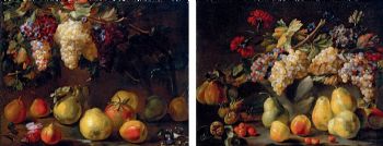 Coppia di nature morte