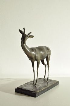 Antilope, 1930 circa