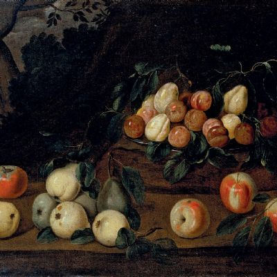 Natura morta in un paesaggio